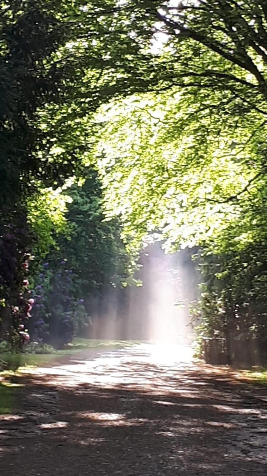 Altmarkblick Erbenhausen ภายนอก รูปภาพ